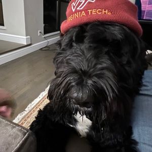 Meet your Posher, Marion